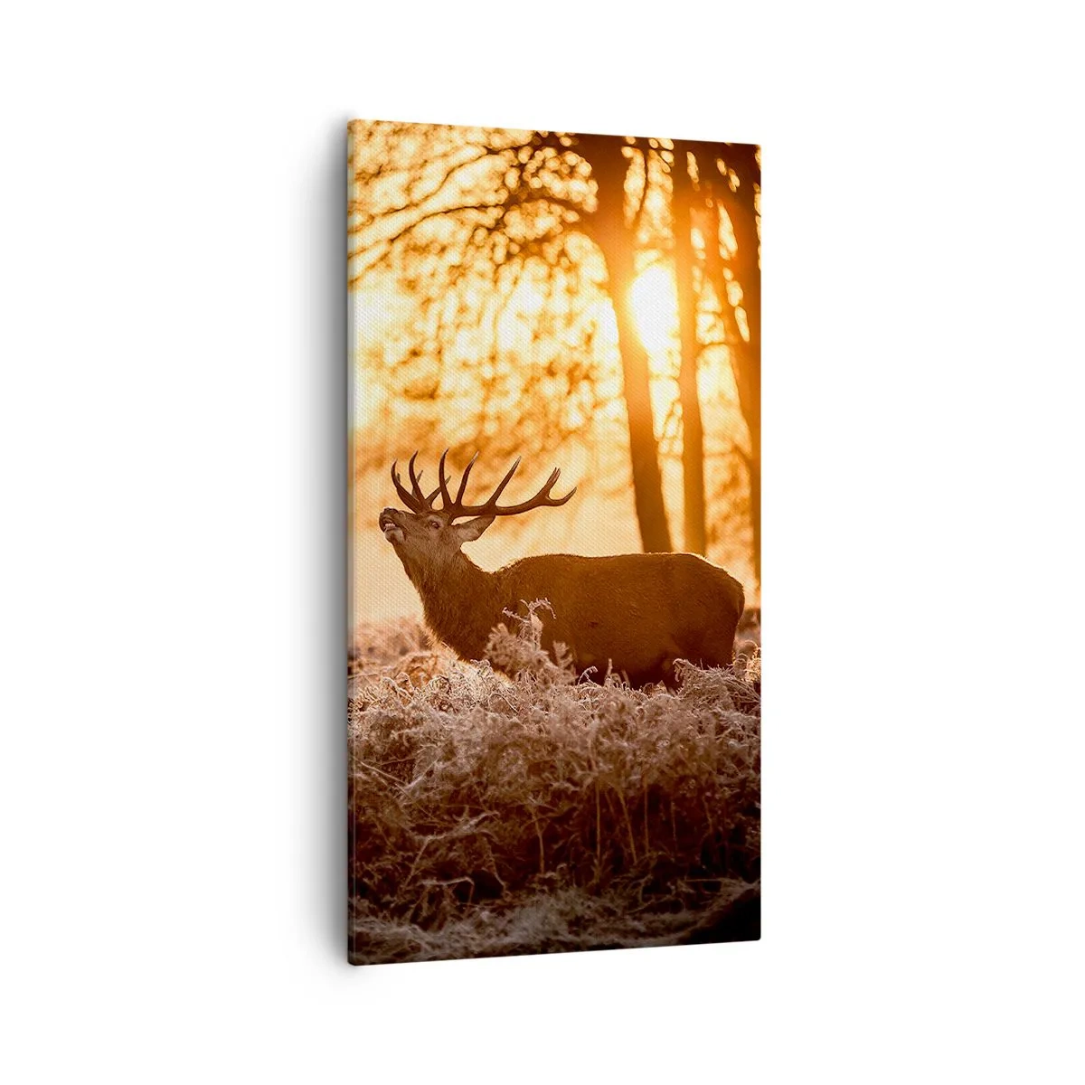 Canvastavla - Bild på duk - Jägarens dröm - 55x100 cm