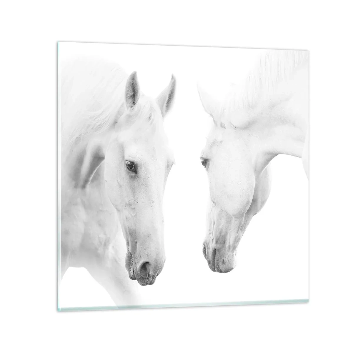 Glastavla - Bild på glas - Är det vänskap…? - 40x40 cm