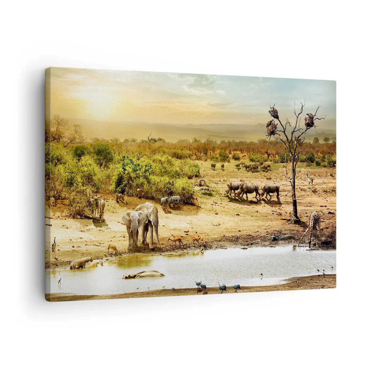 Canvastavla - Bild på duk - Elefanter och vilda djur vid ett vattenhål i solnedgången - 70x50cm - "Det mynnade en flod från Eden…" - Modern väggdekoration för vardagsrum och sovrum ARTTOR