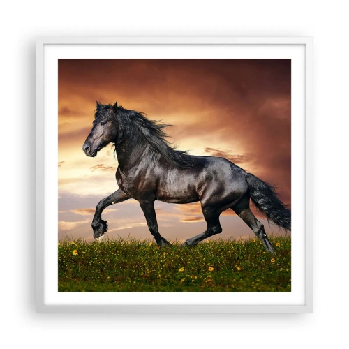 Affisch i vit ram - Svarta prinsen - 60x60 cm