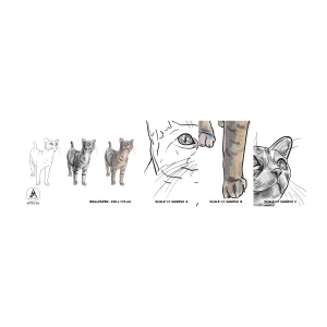 Provbit av självhäftande fototapet Deluxe Sticker - Teckningslektion - Djur, Katt, För barn - 100x30 cm