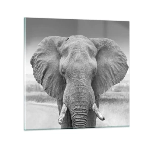 Glastavla - Bild på glas - Välkommen till min värld - 70x70 cm