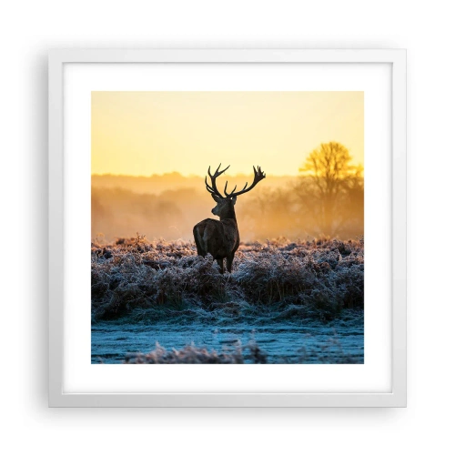 Affisch i vit ram - Krönt på sin mark - 40x40 cm