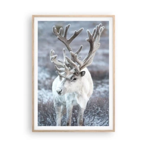 Affisch i ram av ljusek - Porträtt i solsken - 70x100 cm