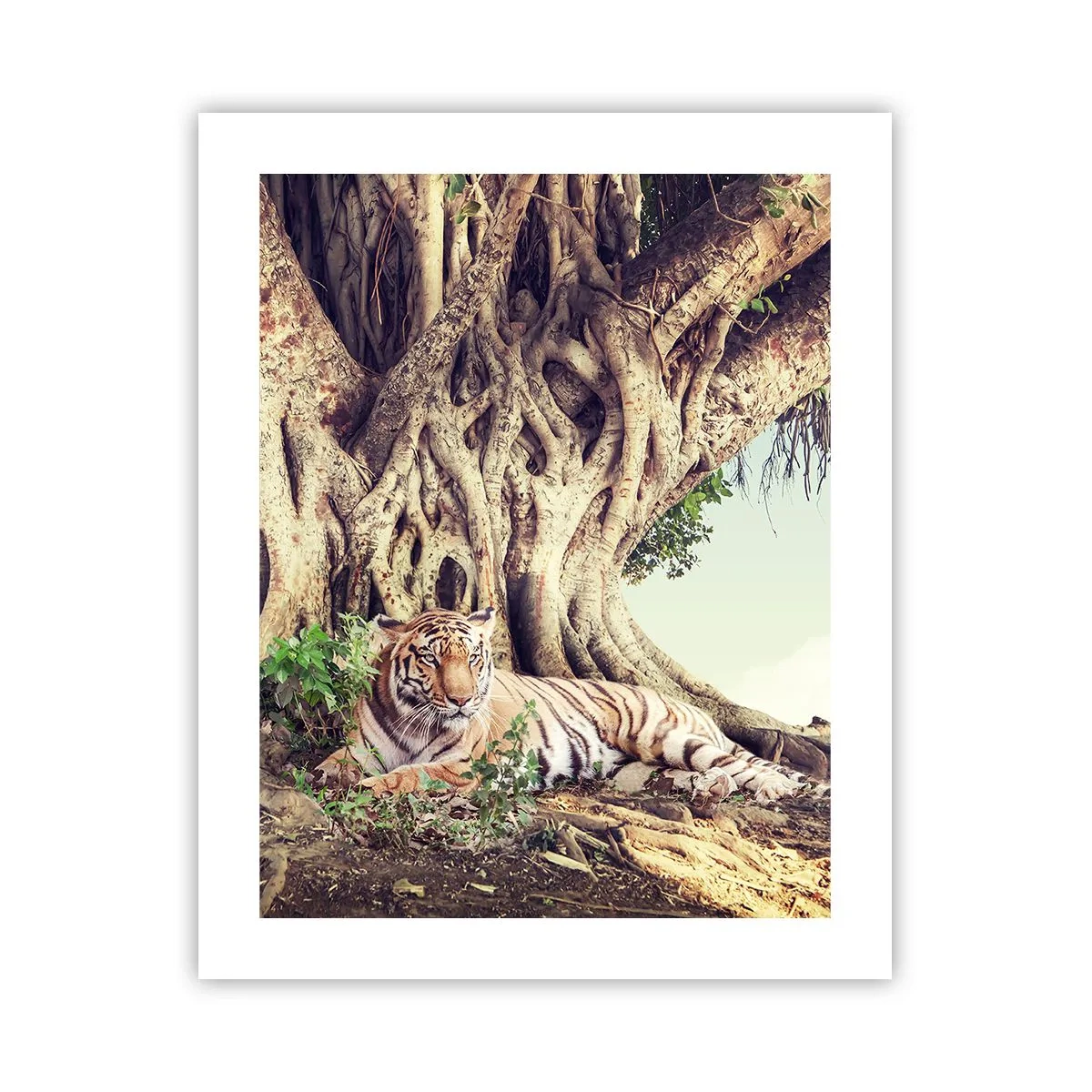 Affisch - Vi från Första Moseboken - 40x50 cm