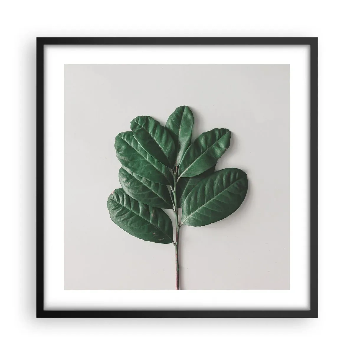 Affisch i svart ram - Själva naturens bild - 50x50 cm