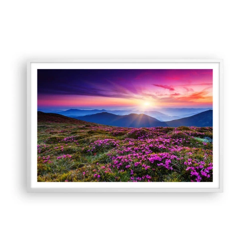 Affisch i vit ram - Doftande örter - 91x61 cm