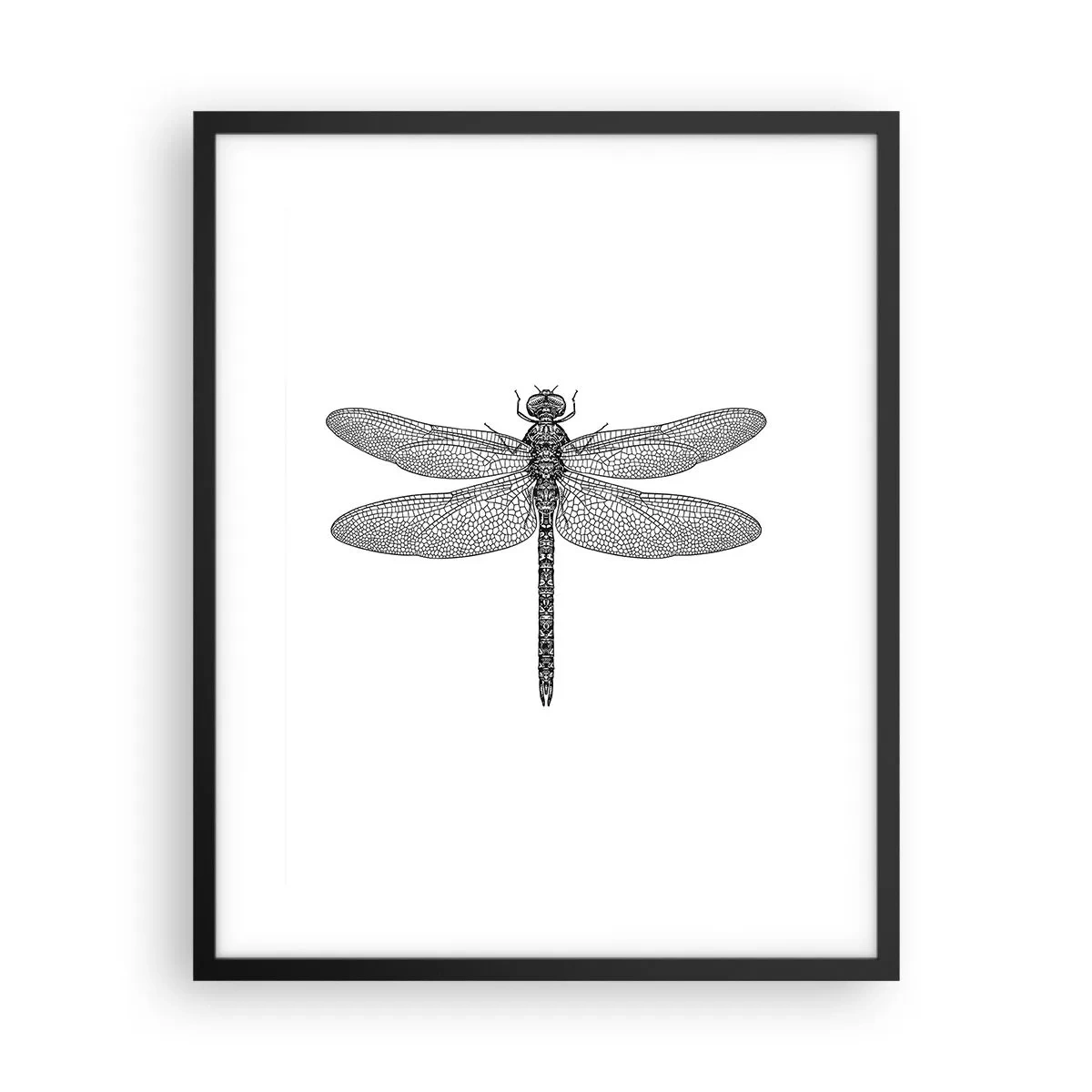 Affisch i svart ram - Precision i naturen - 40x50 cm