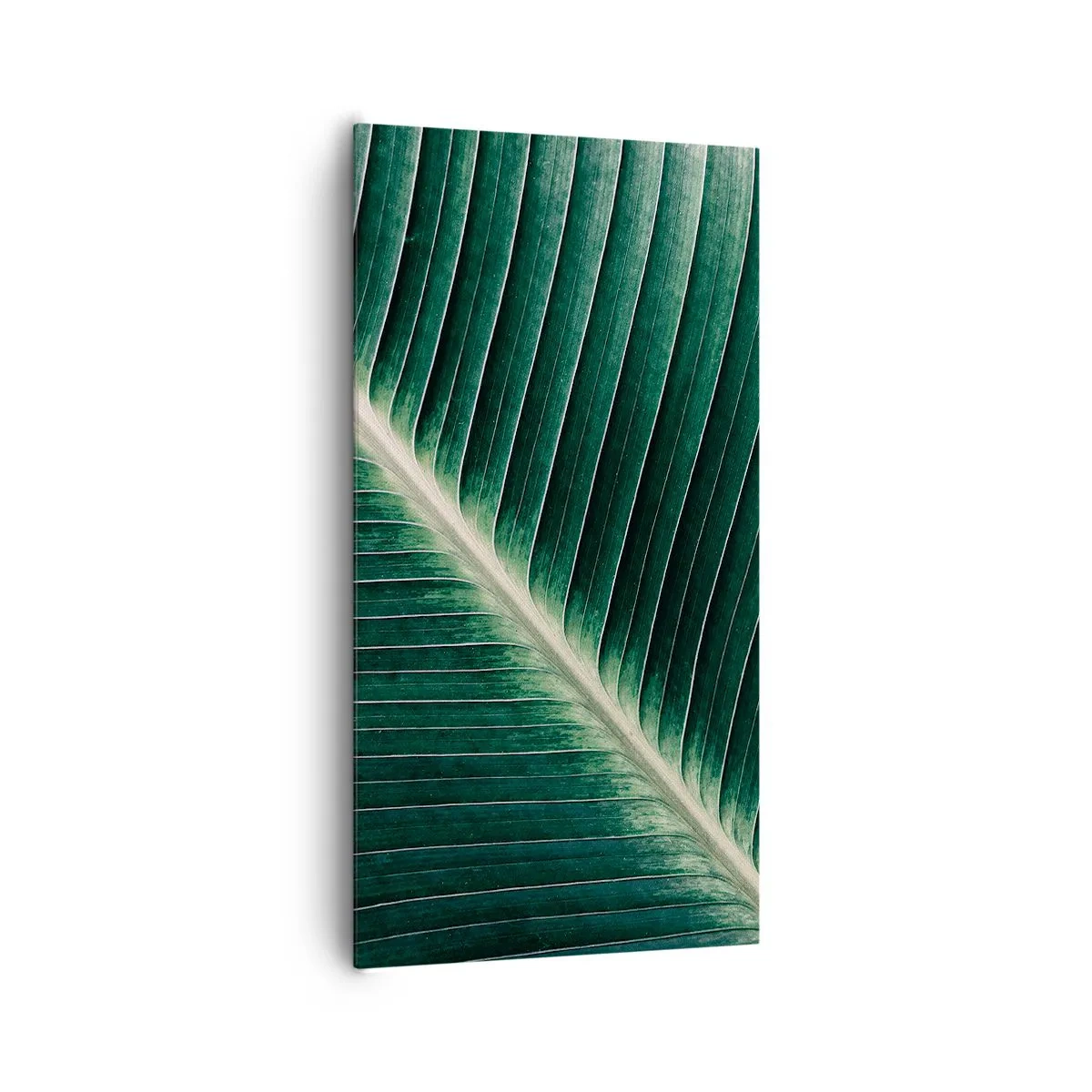 Canvastavla - Bild på duk - Naturens rytm - 65x120 cm