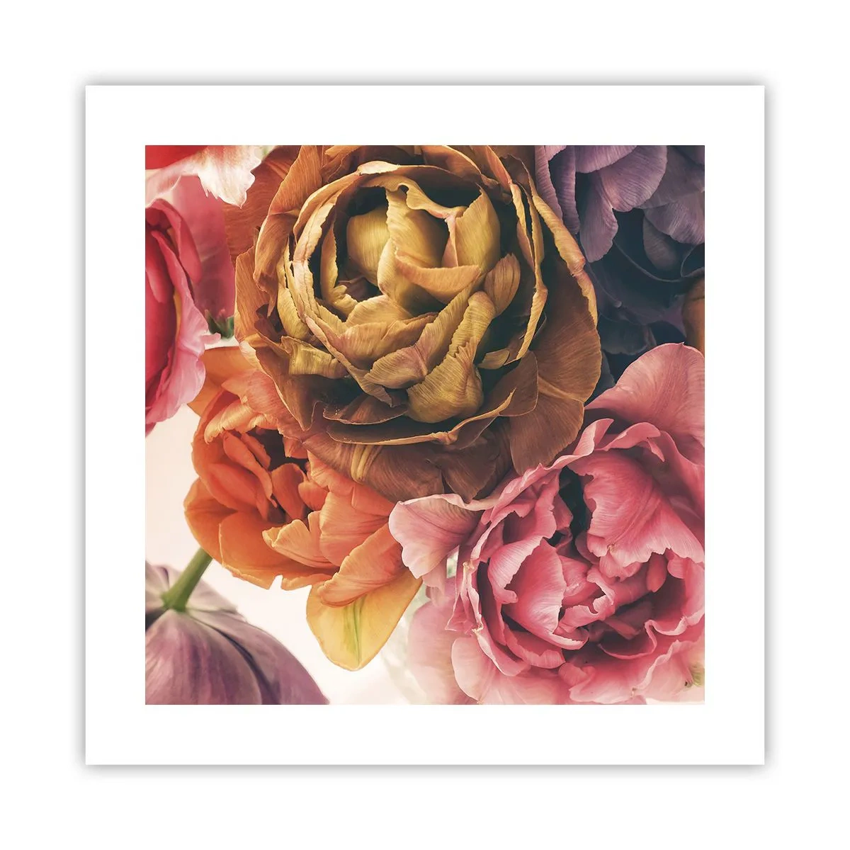 Affisch - Livets högtid - 40x40 cm