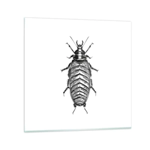 Glastavla - Bild på glas - Vilket exemplar! - 50x50 cm