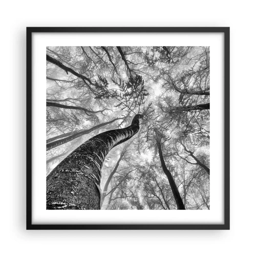 Affisch i svart ram - Kapplöpning mot ljuset - 50x50 cm