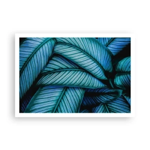 Affisch - Livslinjer - 100x70 cm