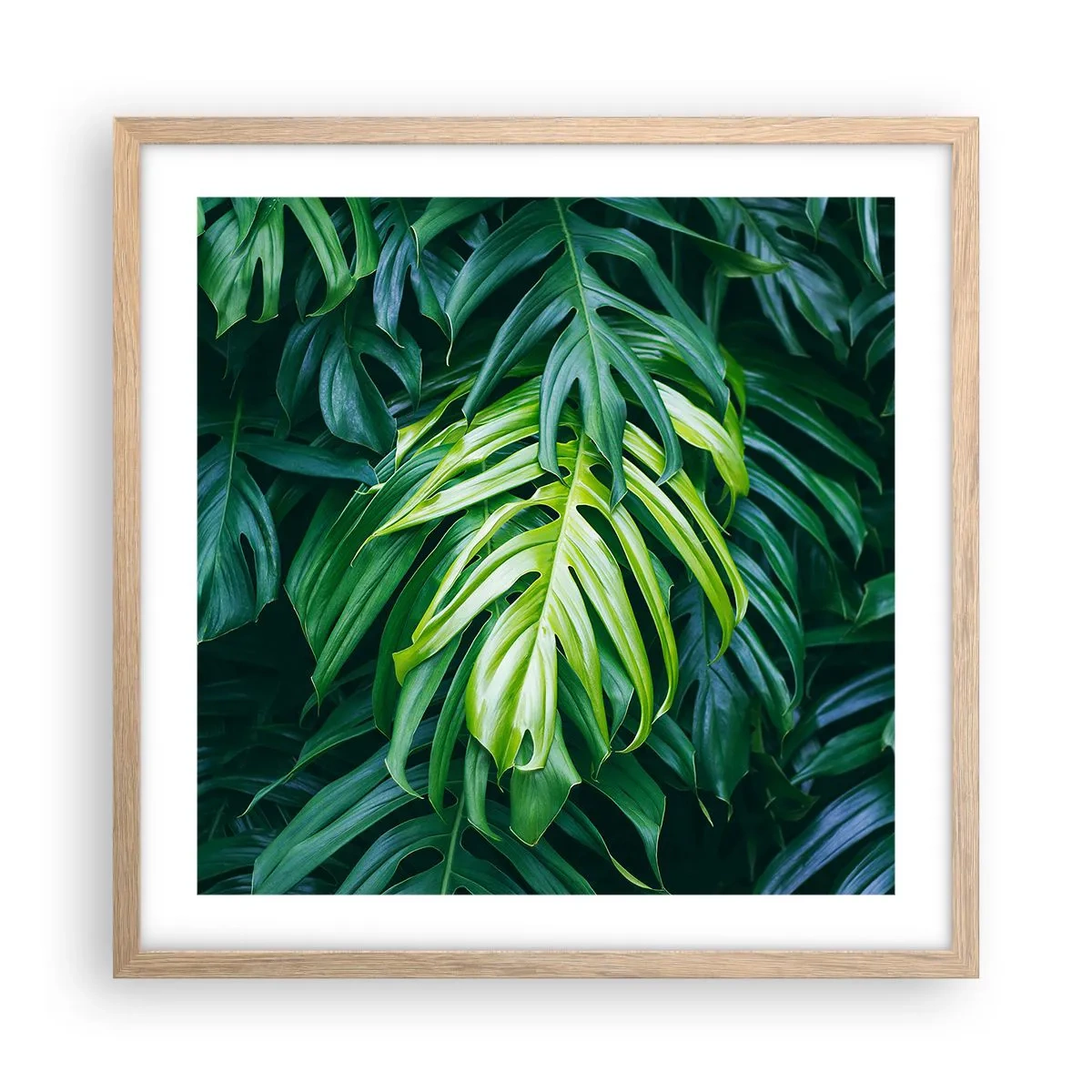 Affisch i ram av ljusek - Doppa sig i fräschheten - 50x50 cm