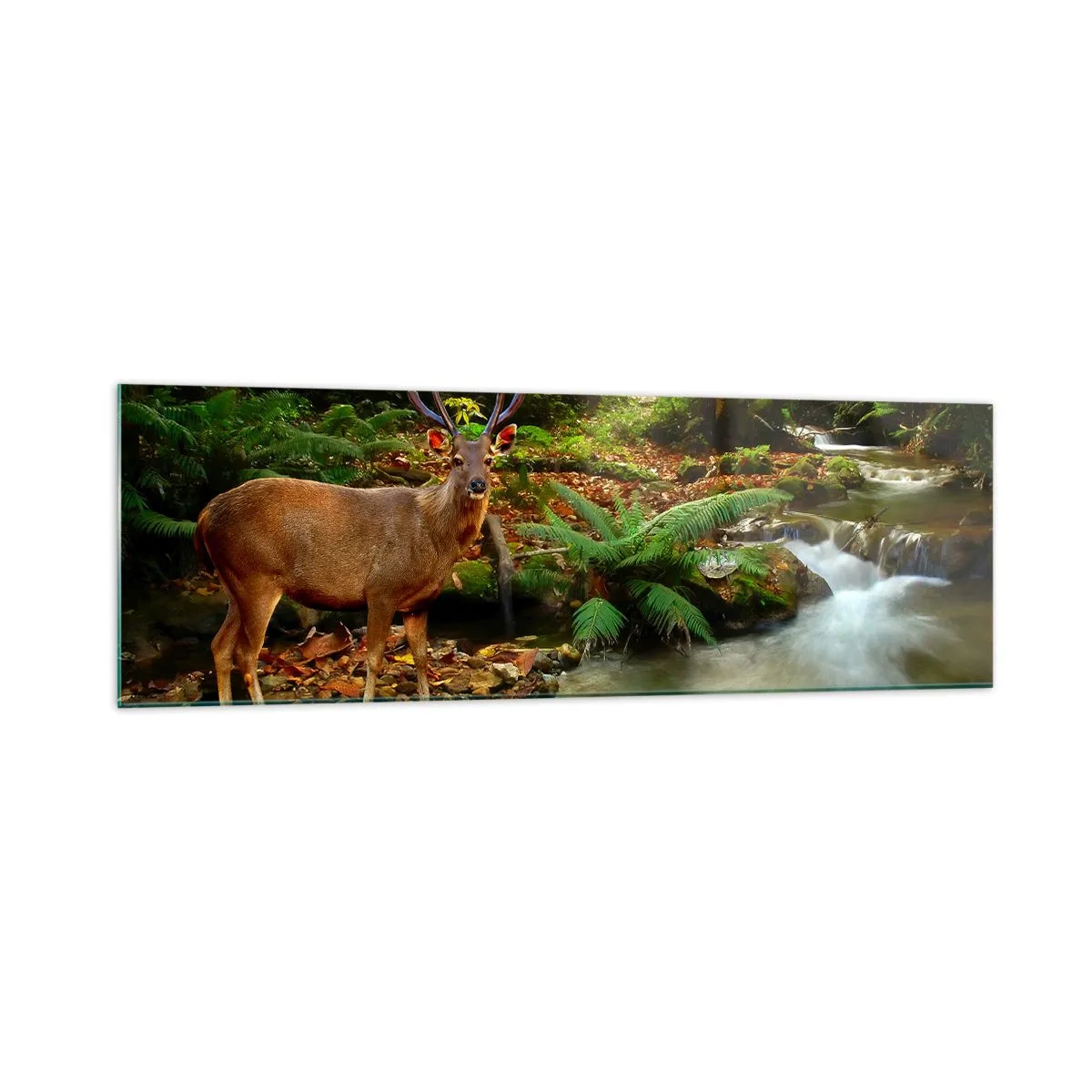 Glastavla - Bild på glas - Välkommen till min värld - 160x50 cm