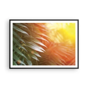 Affisch i svart ram - En morgon i djungeln - 100x70 cm