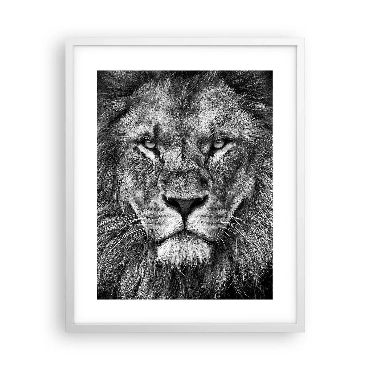 Affisch i vit ram - I kröningskläder - 40x50 cm