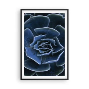 Affisch i svart ram - Öknens blomma - 61x91 cm