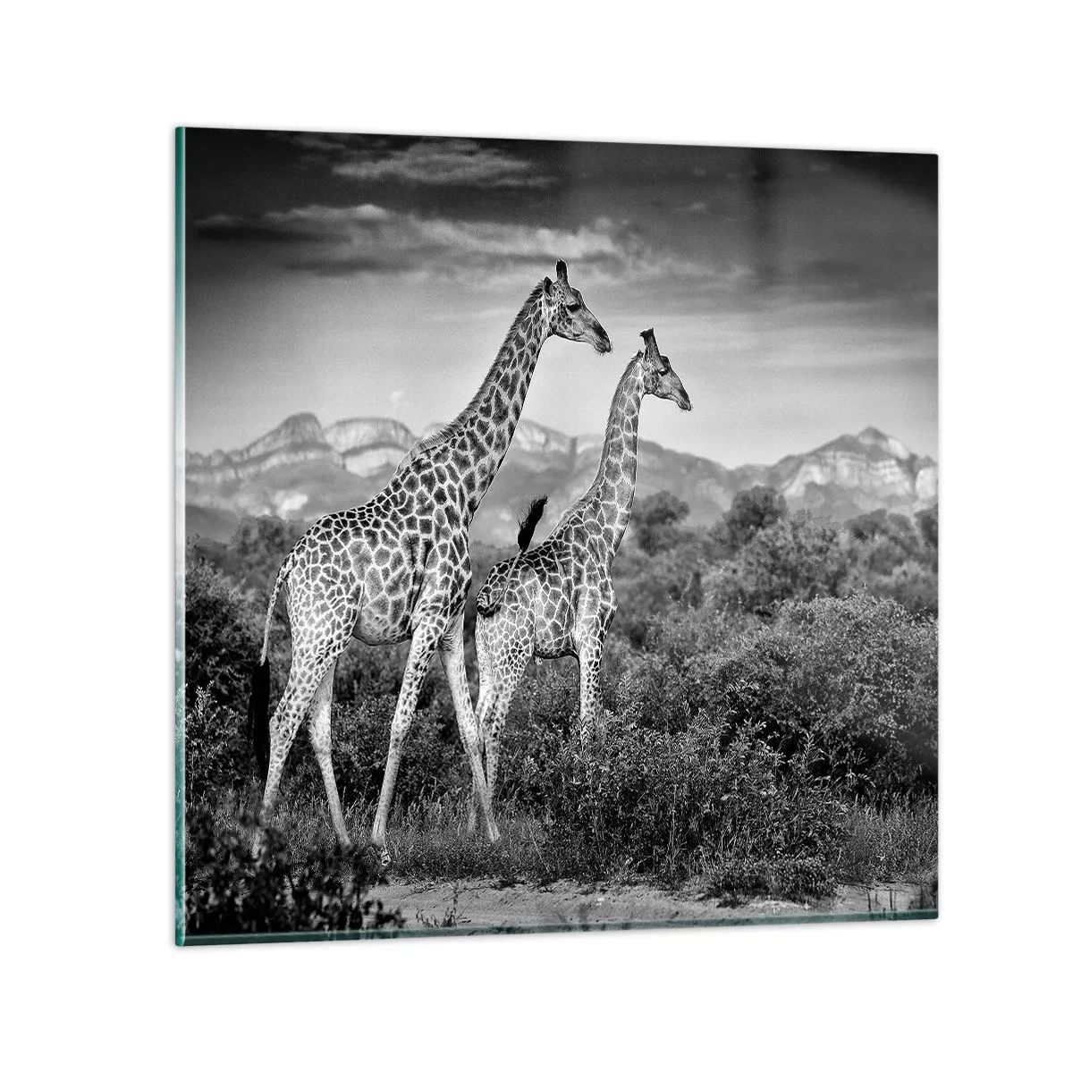 Glastavla - Bild på glas - Högre klasser i Afrika - 40x40 cm