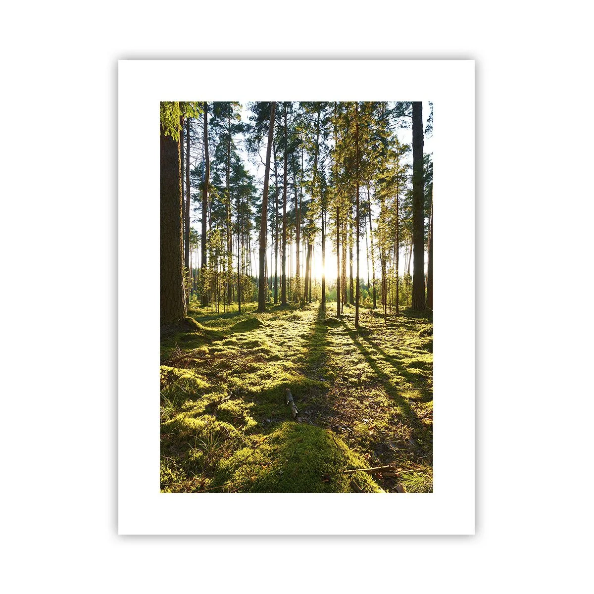 Affisch - ...Bortom sjunde skogen - 30x40 cm