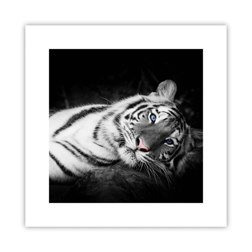 Affisch - Vildhet och lugn - 30x30 cm