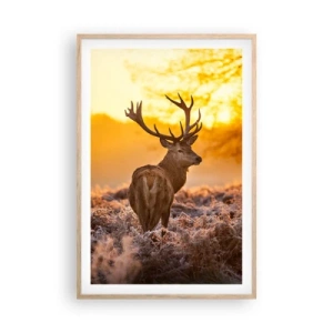 Affisch i ram av ljusek - Höstskogens kung - 61x91 cm