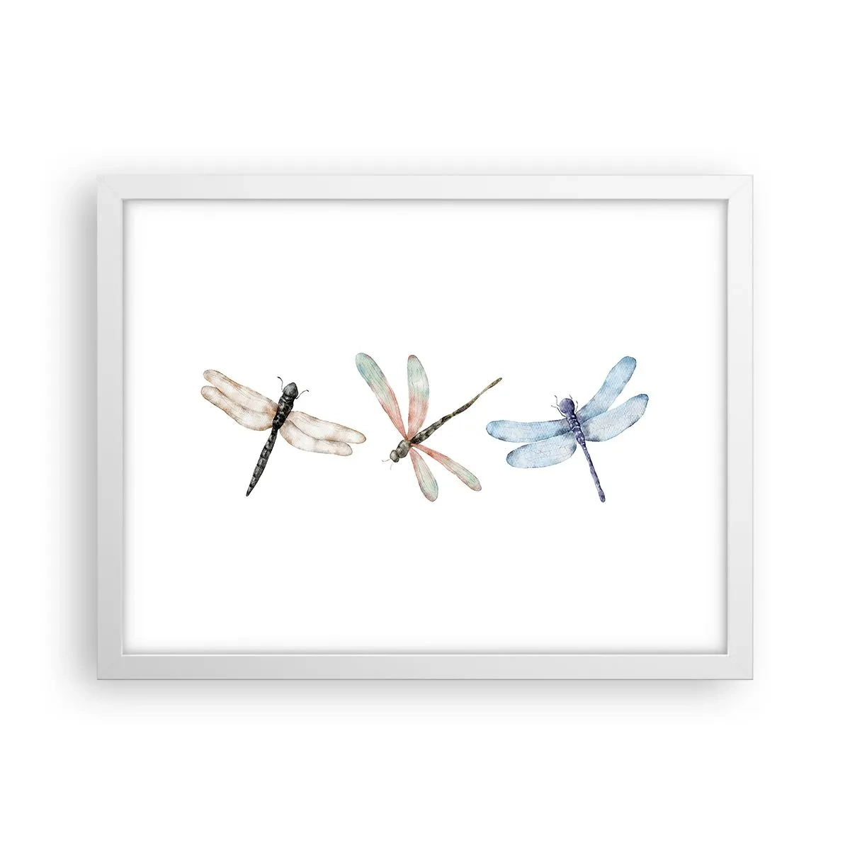 Affisch i vit ram - Viktlösa trollsländor - 40x30 cm