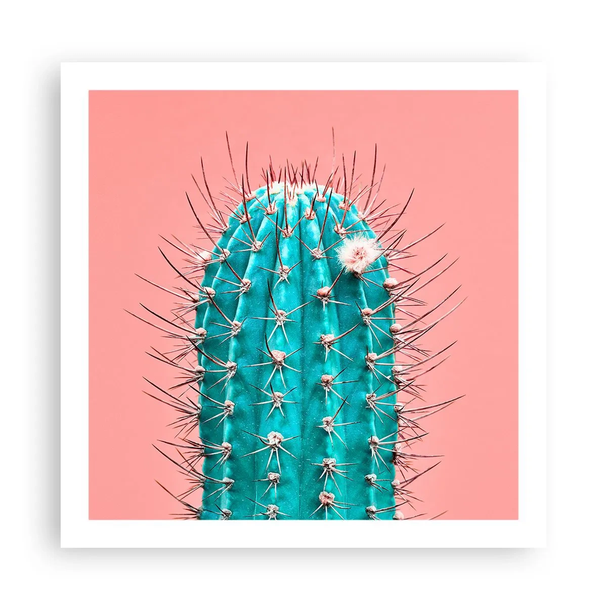 Affisch - Titta bara - 60x60 cm