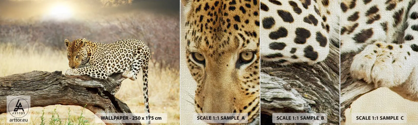 Provbit av fototapet Premium Canvas - Jag går min egen väg - Djur, leopard, Afrika - 100x30 cm