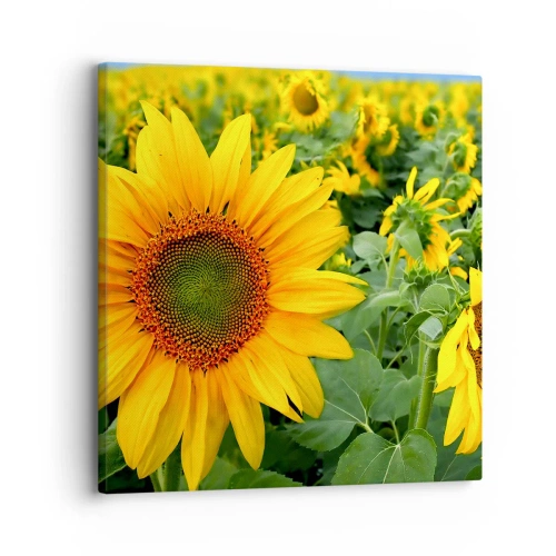Canvastavla - Bild på duk - Hundratals brinnande solar - 30x30 cm