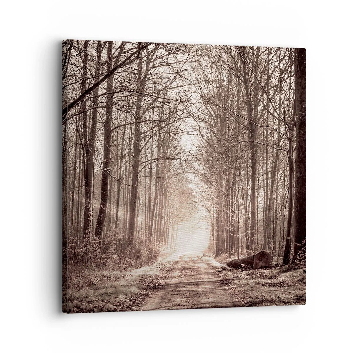 Canvastavla - Bild på duk - Skogens domkyrka - 30x30 cm