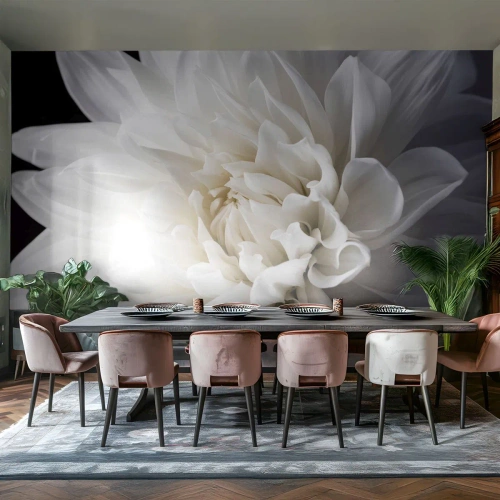 Fototapet Premium Canvas - En bruds morgon - Blomma, Dahlia, Natur - 250x175 cm
