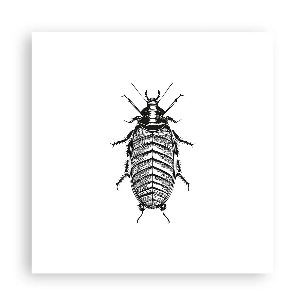 Affisch - Vilket exemplar! - 40x40 cm