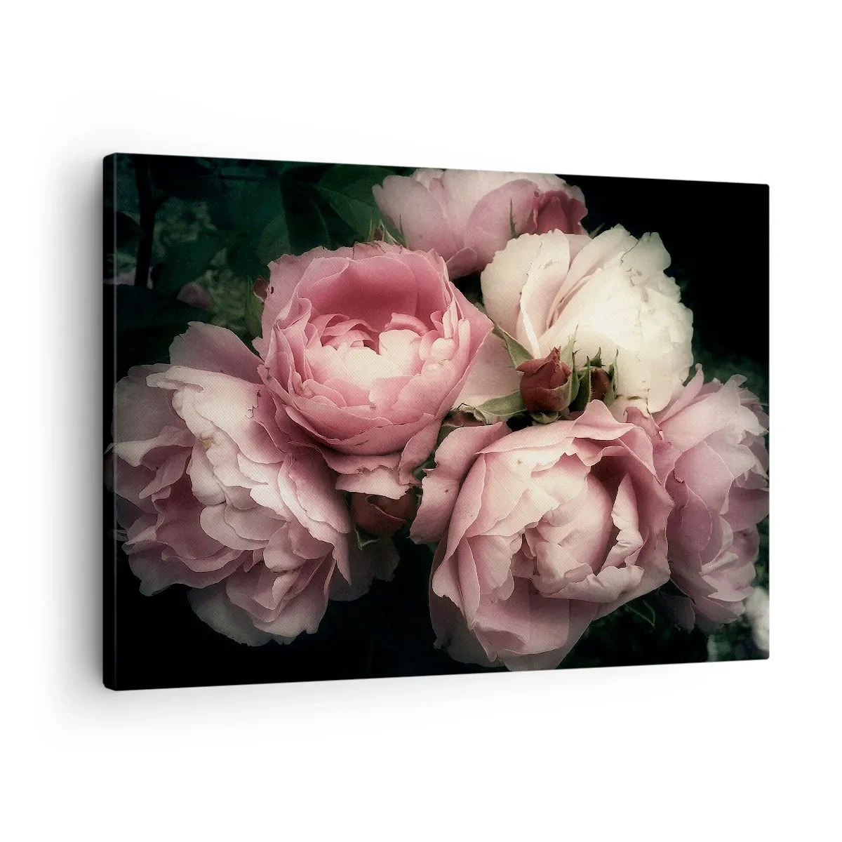 Canvastavla - Bild på duk - En bukett rosor i fina nyanser av rosa och vitt - 70x50cm - Belle epoque charm - Modern väggdekoration för vardagsrum och sovrum ARTTOR