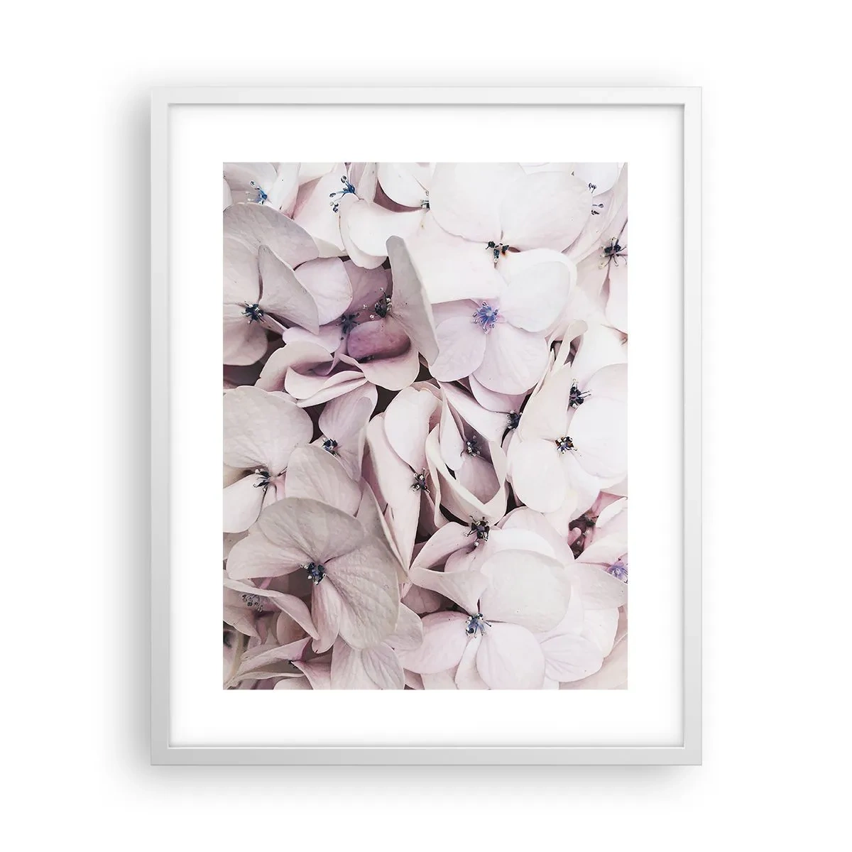 Affisch i vit ram - I en flod av blommor - 40x50 cm