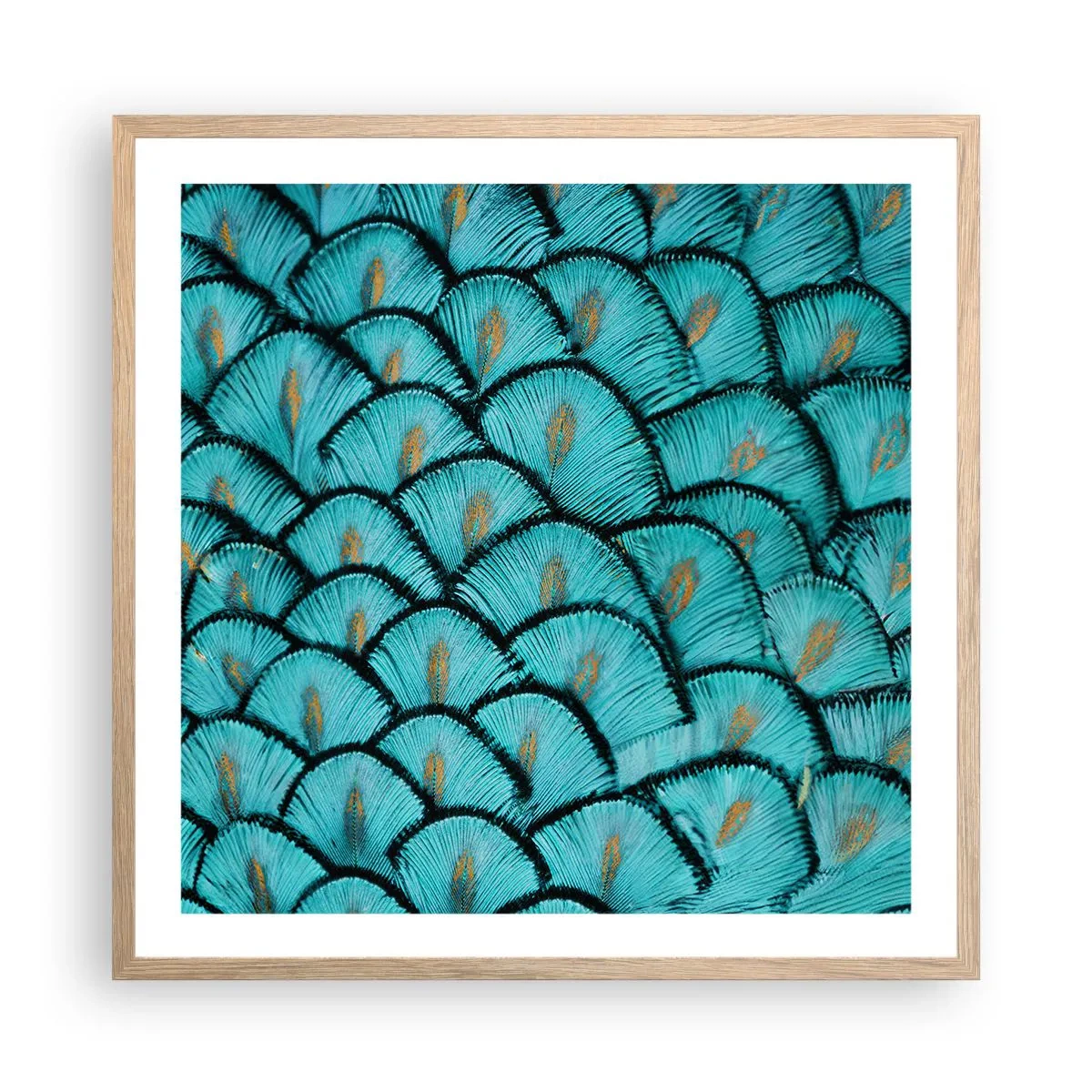 Affisch i ram av ljusek - Den stora fjädergalan - 60x60 cm