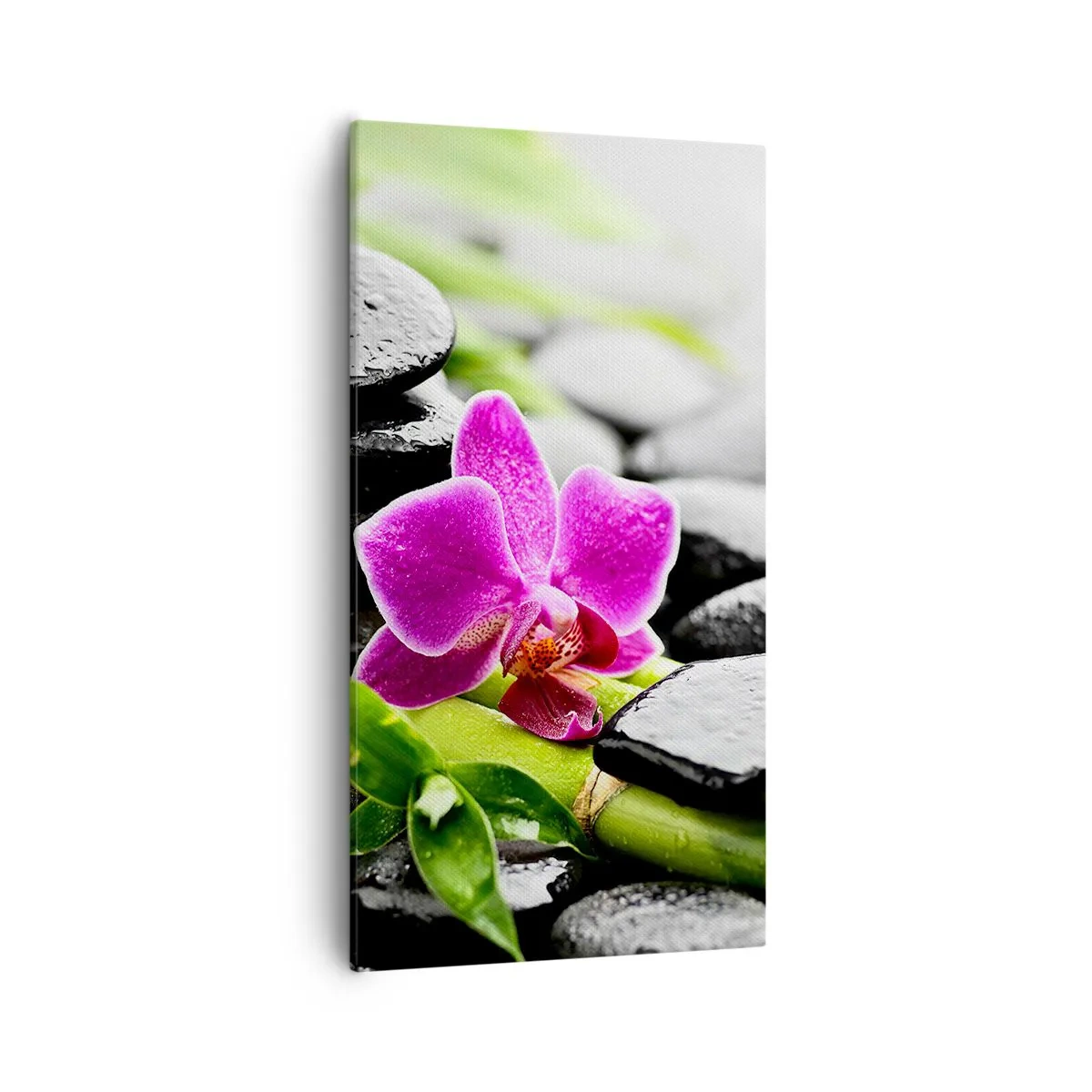 Canvastavla - Bild på duk - Lugn balans - 55x100 cm