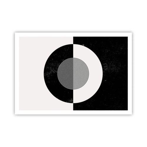 Affisch - Harmoni i svart och vitt - 100x70 cm