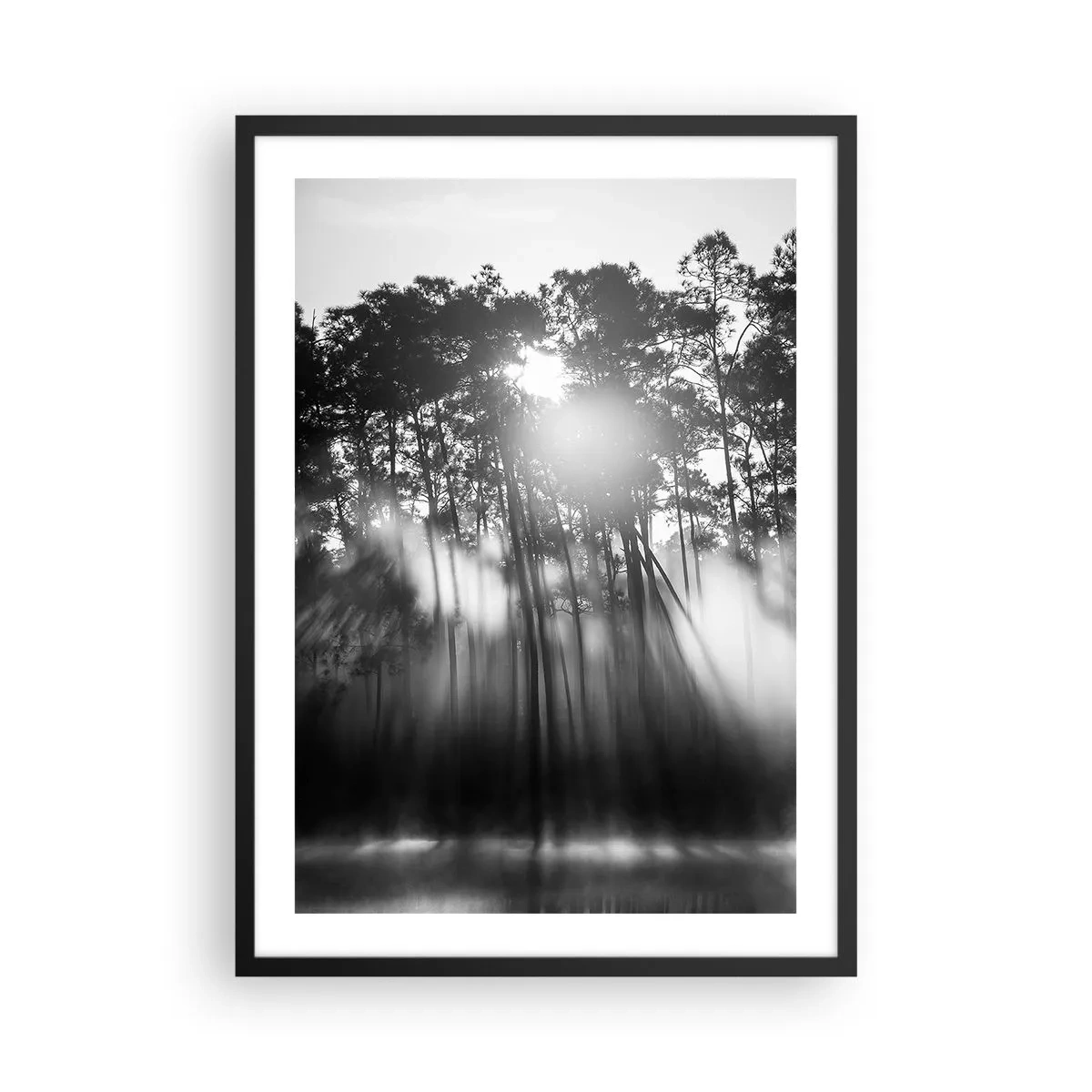 Affisch i svart ram - Svartvit skogsscen med solstrålar i dimman - 50x70cm - Ostoppad sol - Modern väggdekoration för vardagsrum och sovrum ARTTOR