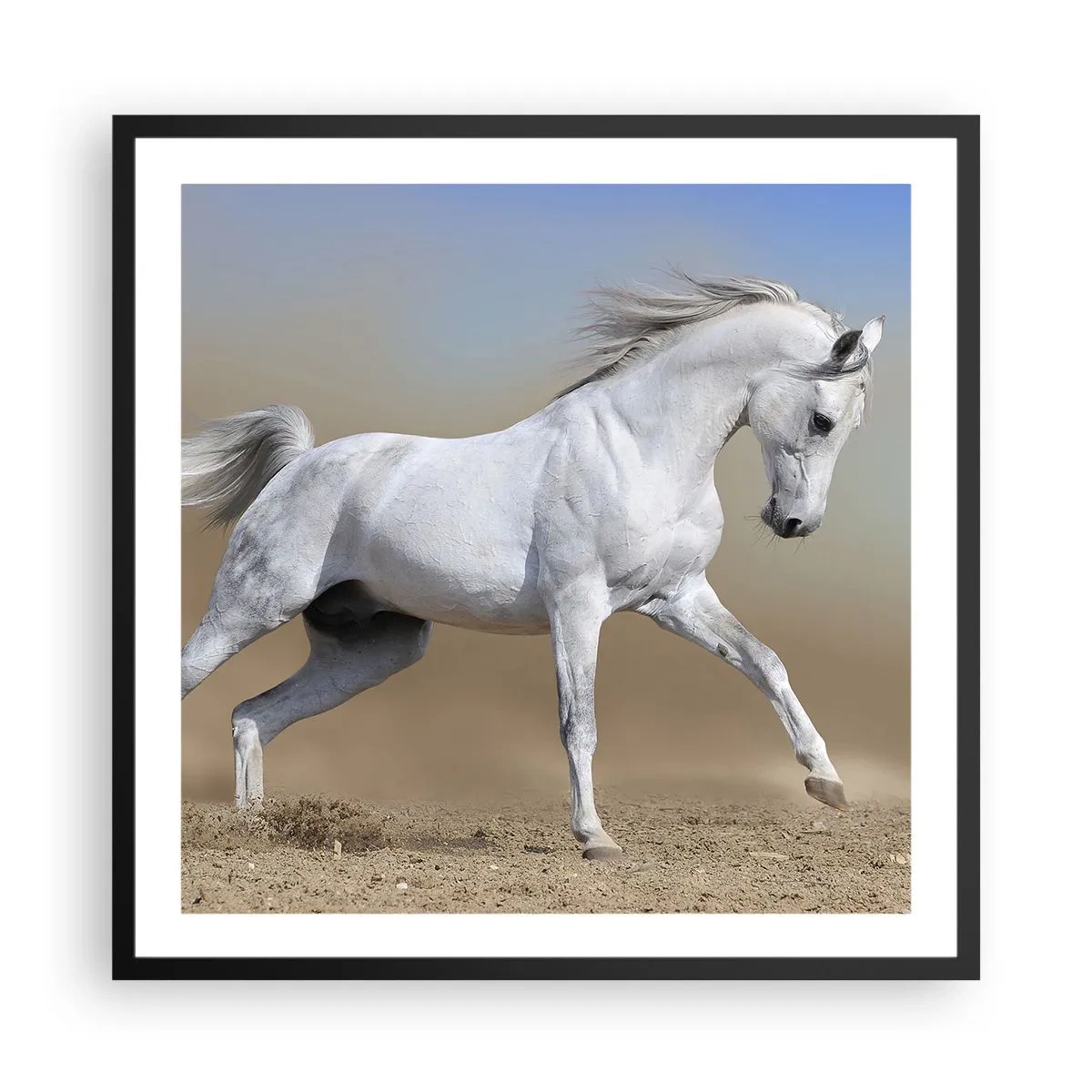 Affisch i svart ram - Den vackraste arabiska sagan - 60x60 cm