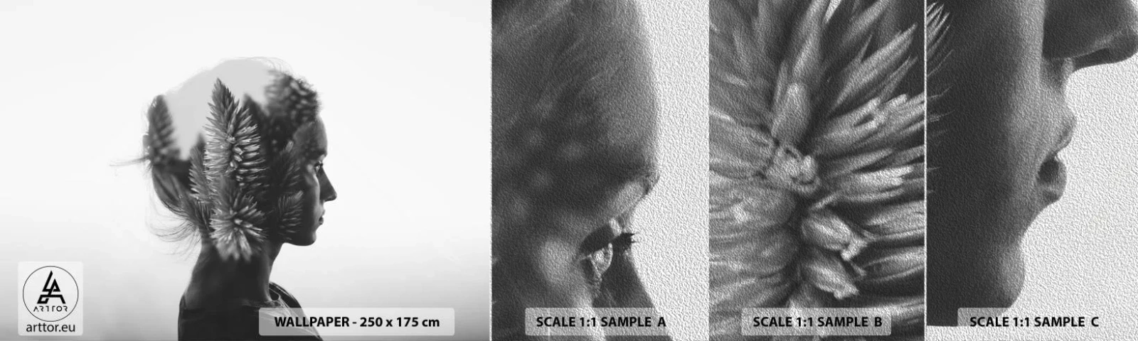 Provbit av fototapet Premium Sand - Furuskogens härskarinna - Abstraktion, Kvinna, Bit - 100x30 cm