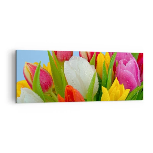 Canvastavla - Bild på duk - blommig regnbåge i daggdroppar - 140x50 cm