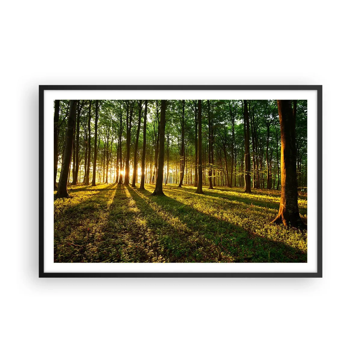 Affisch i svart ram - Fotografi av alla vårar - 91x61 cm
