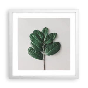 Affisch i vit ram - Själva naturens bild - 40x40 cm