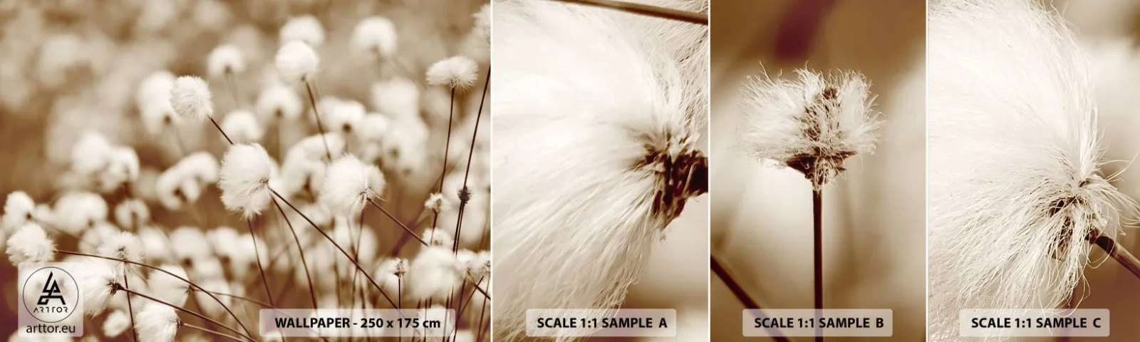 Provbit av självhäftande fototapet Deluxe Sticker - Fluffig åkermark - Bomullsblomma, Blomma, Bomullskvist - 100x30 cm