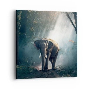 Canvastavla - Bild på duk - Lugn promenad - 40x40 cm