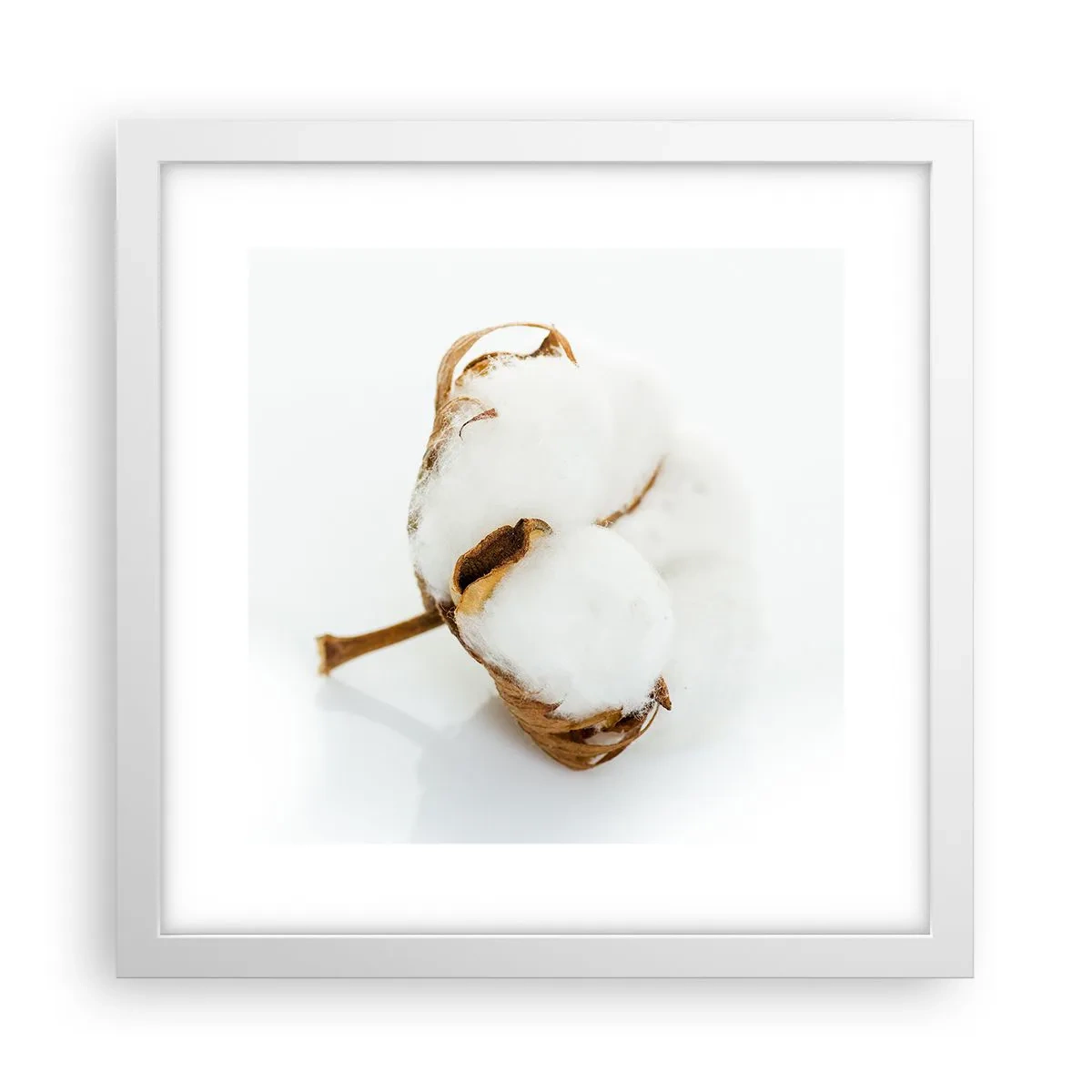 Affisch i vit ram - Mjuk av naturen - 30x30 cm