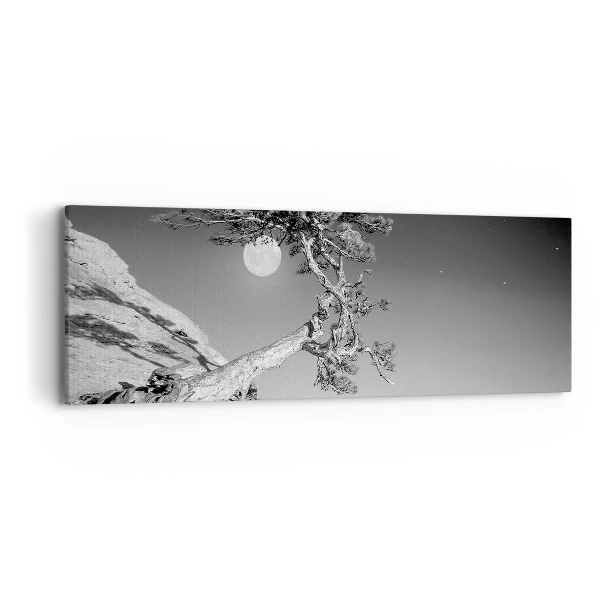 Canvastavla - Bild på duk - Segerrik kämpe - 90x30 cm