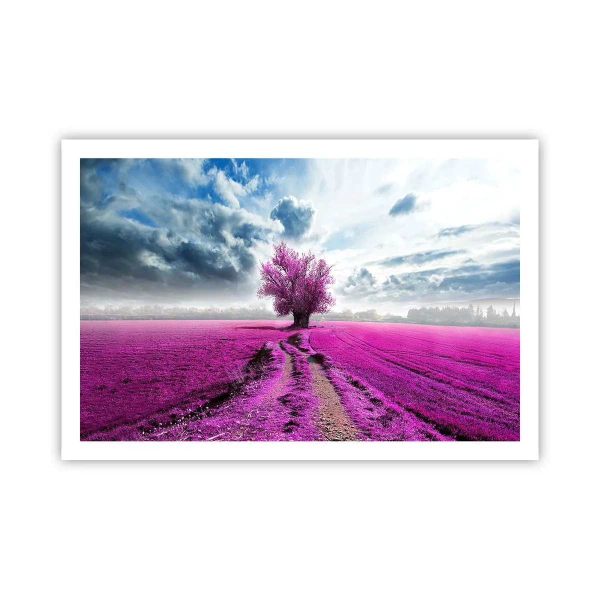 Affisch - Ljunghed - 91x61 cm