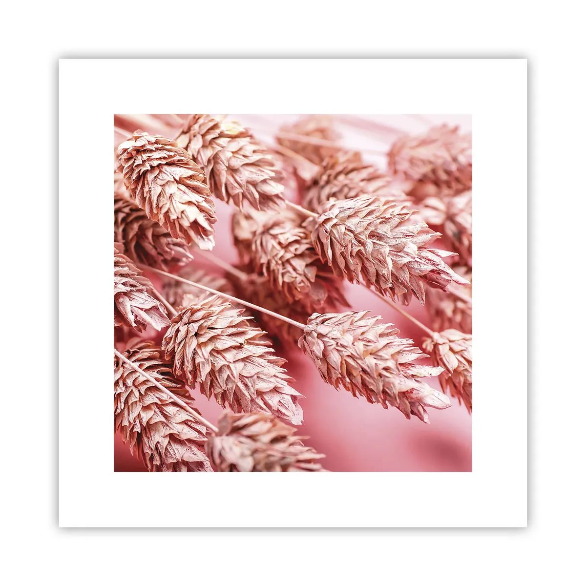 Affisch - Blomkaskad i rosa - 30x30 cm